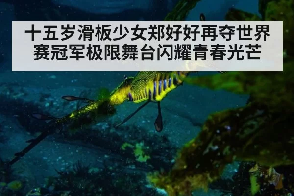 十五岁滑板少女郑好好再夺世界赛冠军极限舞台闪耀青春光芒